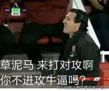 关于埃梅里最新消息:维也纳失利不影响阿森纳的信心的信息 关于埃梅里最新消息:维也纳失利不影响阿森纳的信心的信息