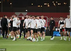 都灵对阵莱切，双方备战提升实力备战比赛的简单介绍