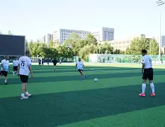 C7娱乐-东北足球小将表现抢眼，助力球队进入决赛(东北足球小将表现抢眼,助力球队进入决赛是哪一集)