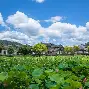 包含安徽队在最新比赛中战无不胜,表现出色获胜的词条 包含安徽队在最新比赛中战无不胜,表现出色获胜的词条